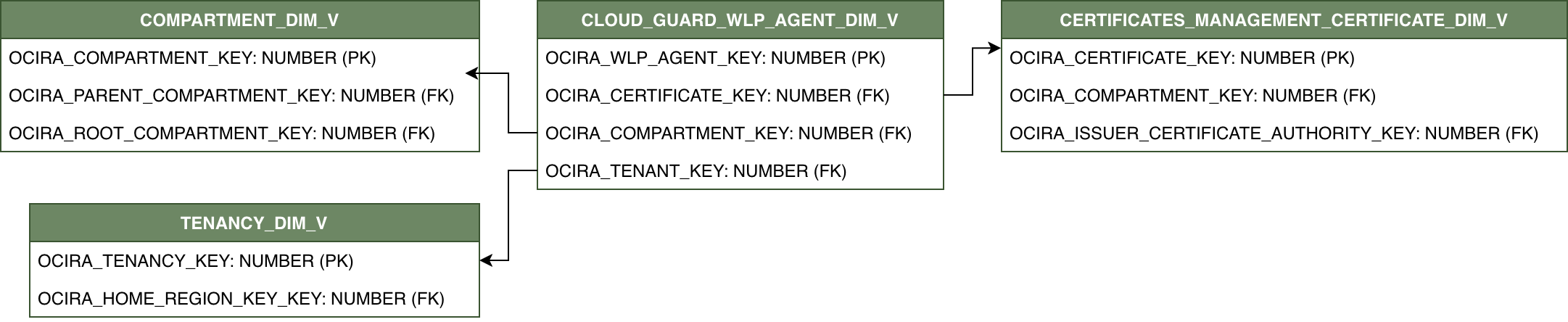 Relationship diagram for CLOUD_GUARD_WLP_AGENT_DIM_V and its related dimension tables.