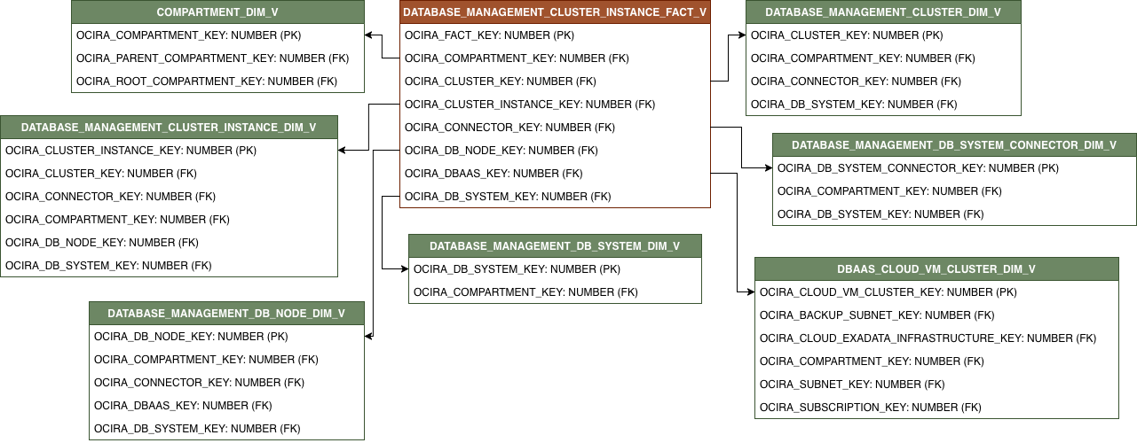Relationship diagram with DATABASE_MANAGEMENT_CLUSTER_INSTANCE_FACT_V and its related dimension tables.