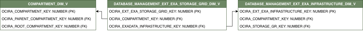 Relationship diagram with DATABASE_MANAGEMENT_EXT_EXA_STORAGE_GRID_DIM_V and its related dimension tables.