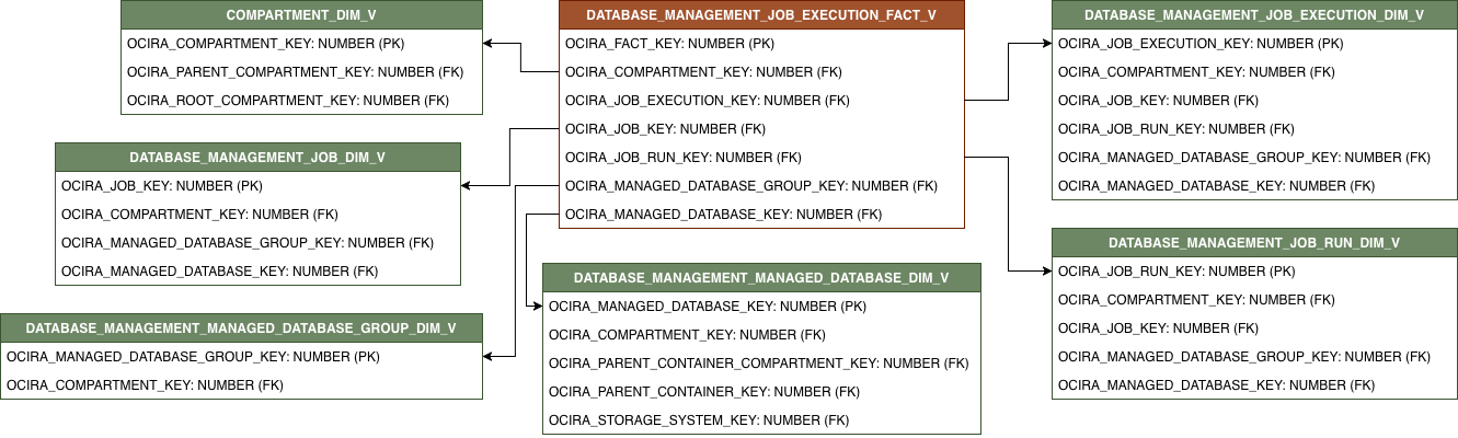 Relationship diagram with DATABASE_MANAGEMENT_JOB_EXECUTION_FACT_V and its related dimension tables.